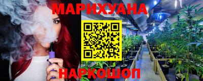 прущие крисы Будённовск