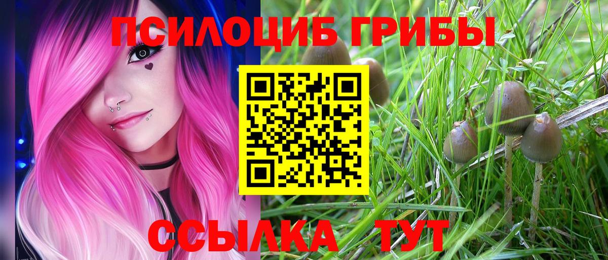 Галлюциногенные грибы Psilocybe Улан-Удэ