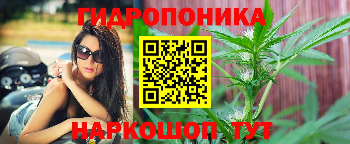 Улан-Удэ  Бошки Шишки марихуана  Марихуана VHQ  Бошки марихуана Bruce Banner  Вход с VPN  Марихуана Amnesia 